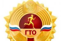 Районный фестиваль по программе Всероссийского физкультурно спортивного комплекса « Готов к труду и обороне»